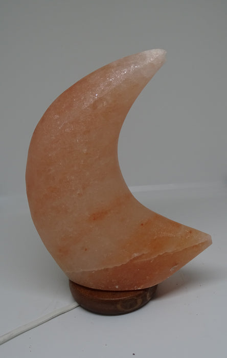 Himalaya Zoutlamp Maan (GRATIS VERZENDING)