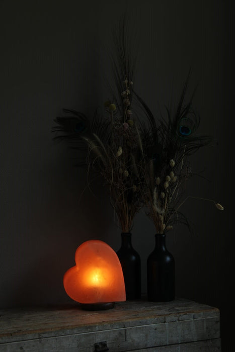 Himalaya Zoutlamp Hart (GRATIS VERZENDING)