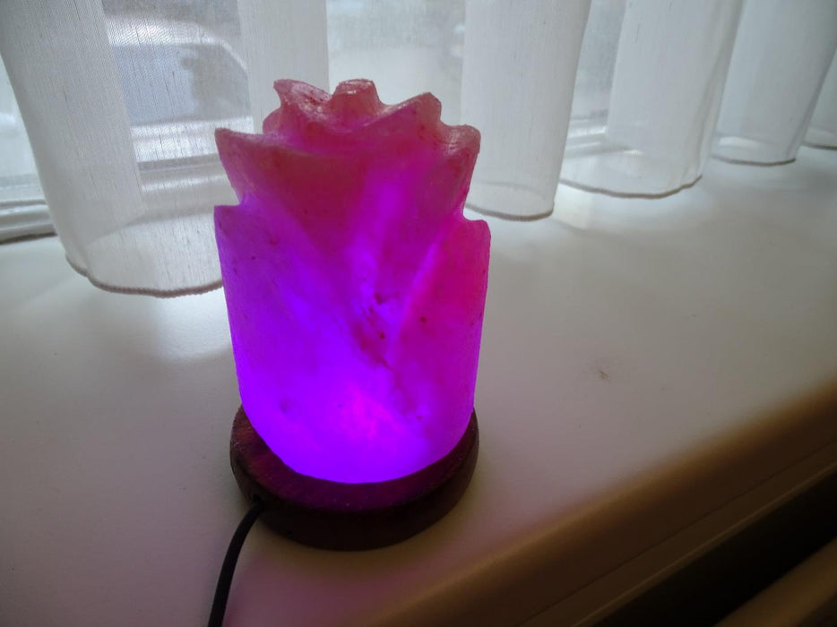 Himalaya Zoutkristal LED Lamp USB roos